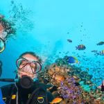 Marmaris: Scuba Diving Experience with 2 Dives and Lunch